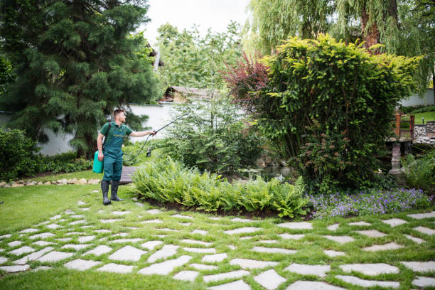 Best Residential Pest Control  in Durant, IA