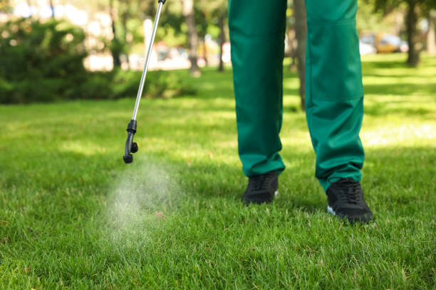 Reliable Durant, IA Pest Control Solutions