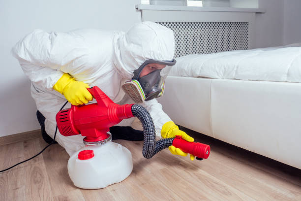 Best Wasp Removal Services  in Durant, IA