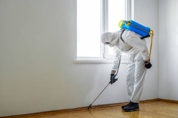 Professional Pest Control in Durant, IA